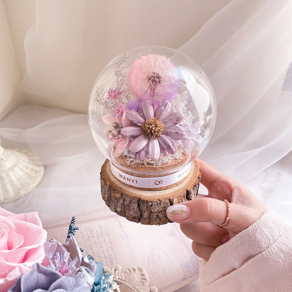 純白蒲公英魔法球(多色) 乾燥花 永生花 客製化禮物 聖誕禮盒 - 乾燥花/永生花 - 植物.花 白色