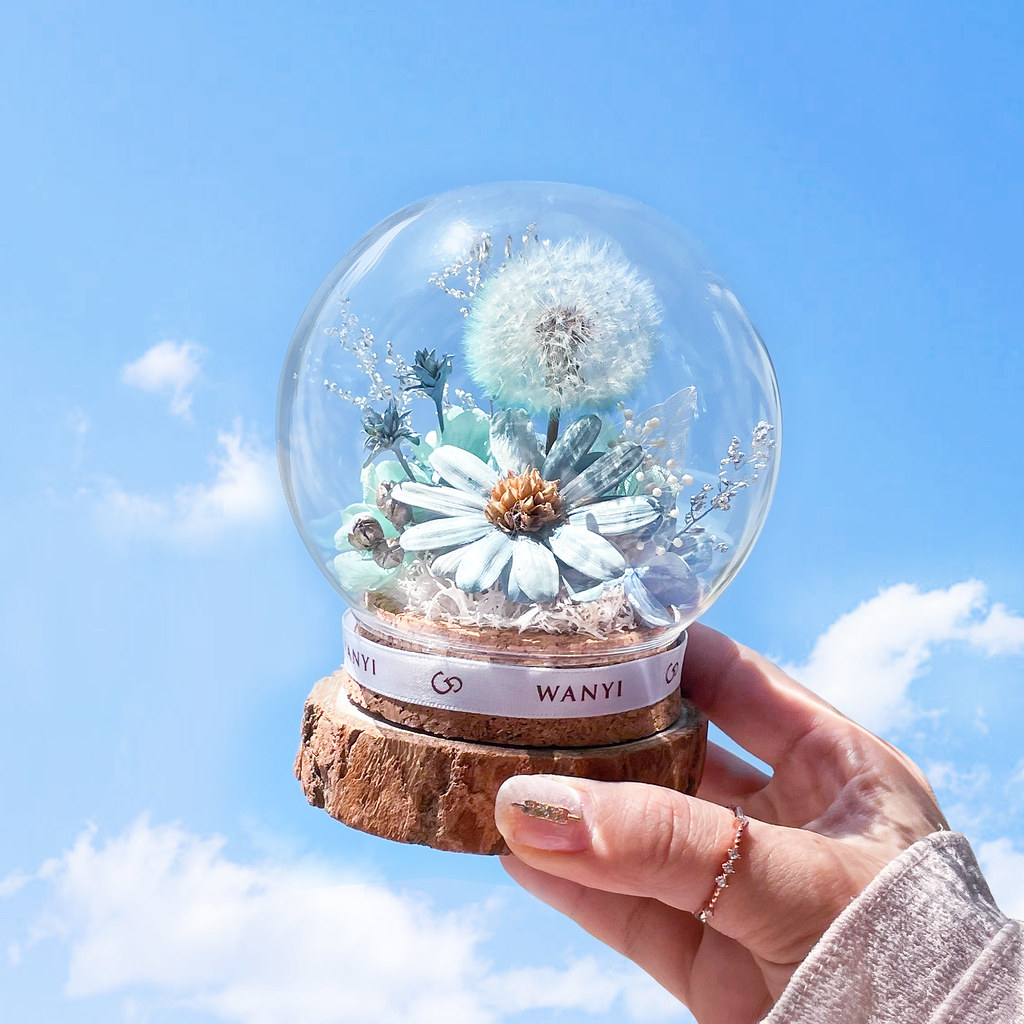 純白蒲公英魔法球(多色) 乾燥花 永生花 客製化禮物 聖誕禮盒 - 乾燥花/永生花 - 植物．花 白色