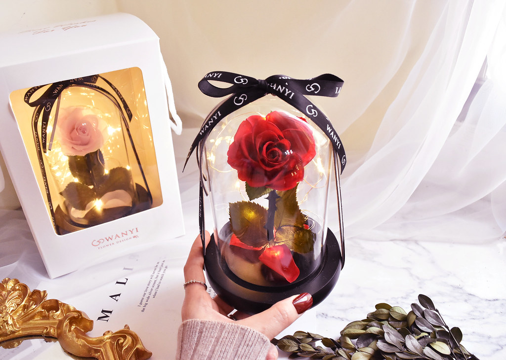 美女與野獸 永生玻璃罩玫瑰花 (小星暖光) 不凋花 乾燥花 情人節 - 盆栽/植栽 - 植物．花 紅色