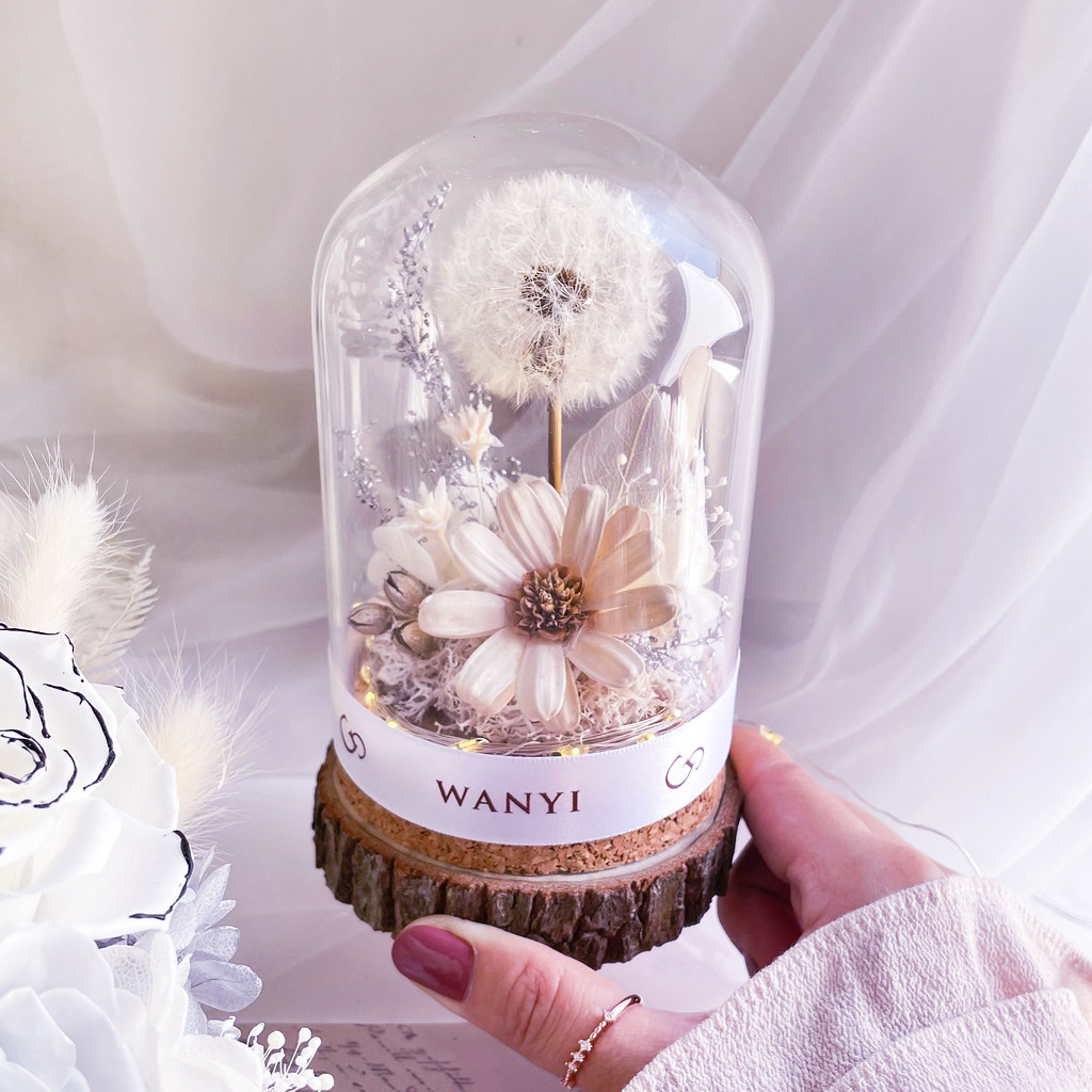 純白蒲公英玻璃罩 乾燥花 永生花 夜燈 聖誕禮物 客製化禮物聖誕 - 乾燥花/永生花 - 植物．花 白色