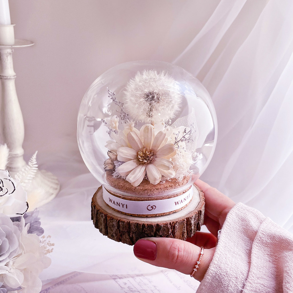 純白蒲公英魔法球(多色) 乾燥花 永生花 客製化禮物 聖誕禮盒 - 乾燥花/永生花 - 植物．花 白色