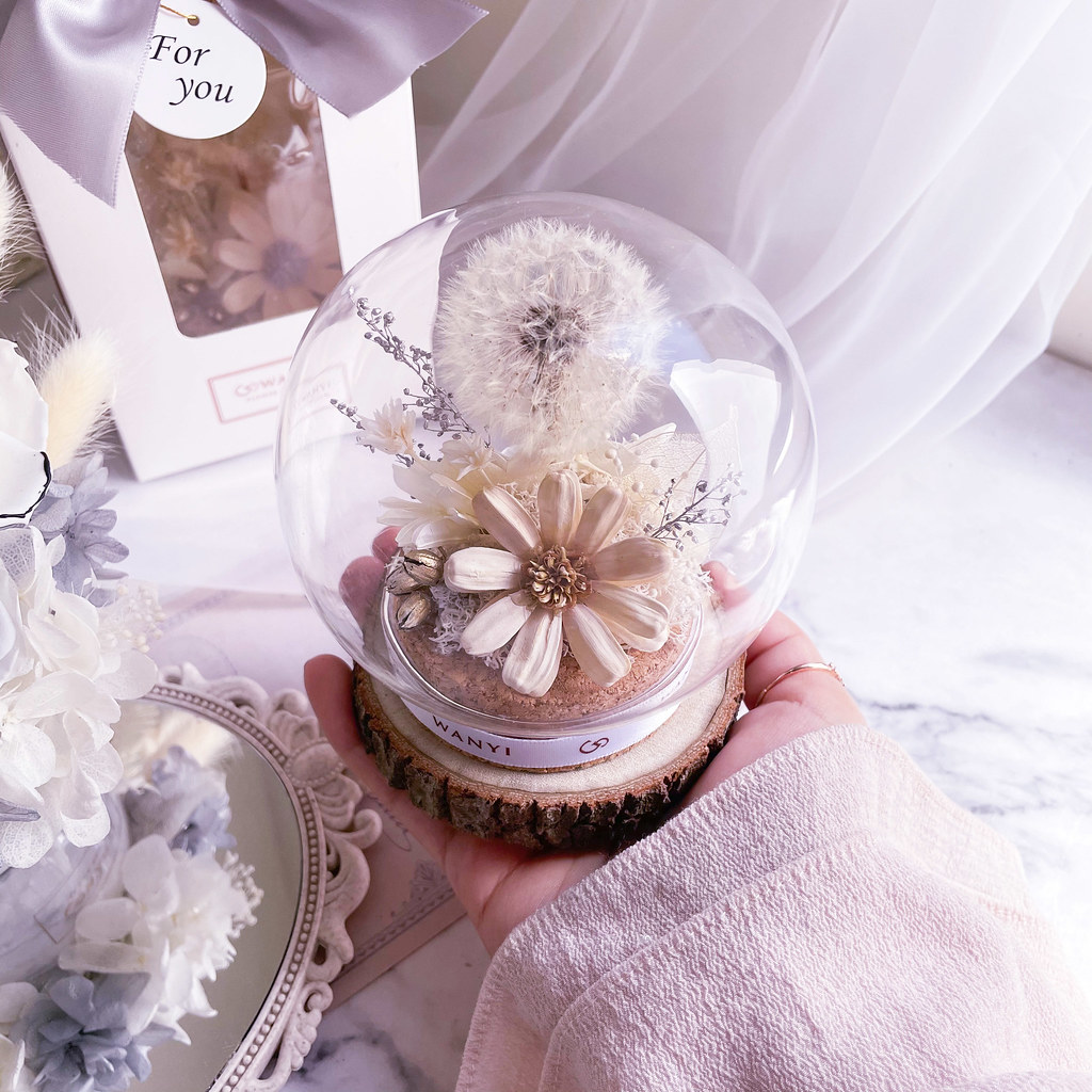 純白蒲公英魔法球(多色) 乾燥花 永生花 客製化禮物 聖誕禮盒 - 乾燥花/永生花 - 植物．花 白色