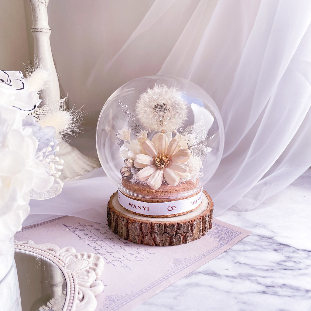 純白蒲公英魔法球(多色) 乾燥花 永生花 客製化禮物 聖誕禮盒 - 乾燥花/永生花 - 植物．花 白色