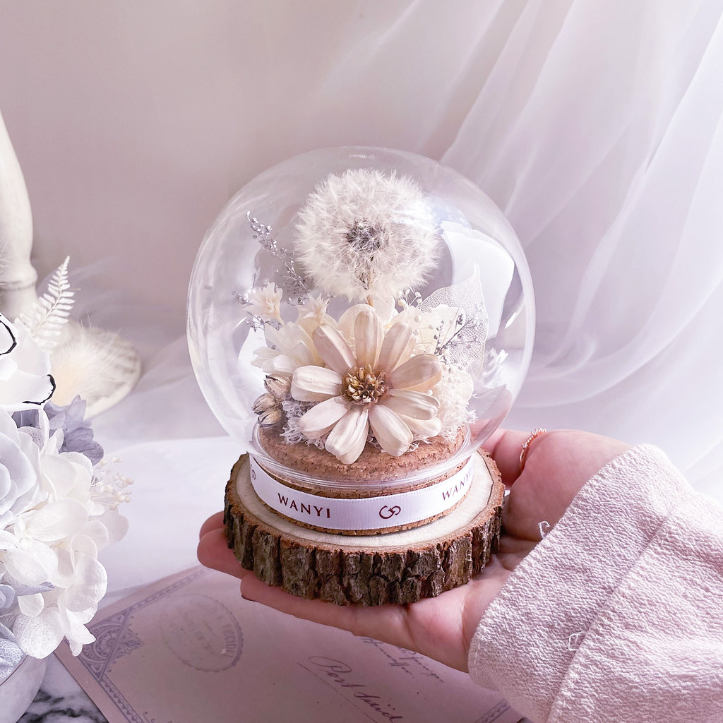 純白蒲公英魔法球(多色) 乾燥花 永生花 客製化禮物 聖誕禮盒 - 乾燥花/永生花 - 植物.花 白色