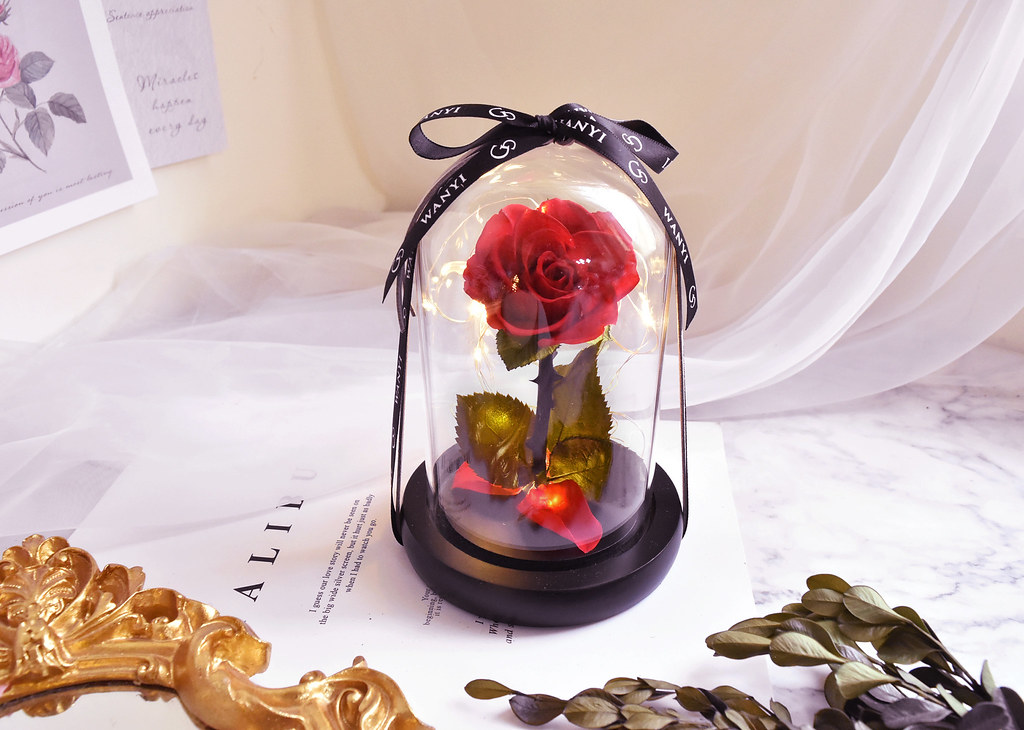 美女與野獸 永生玻璃罩玫瑰花 (小星暖光) 不凋花 乾燥花 情人節 - 盆栽/植栽 - 植物．花 紅色